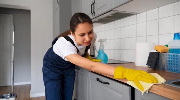 Avantaje pentru angajatorii care oferă salariaților tichete de activități casnice. MMSS a publicat modelul de contract   