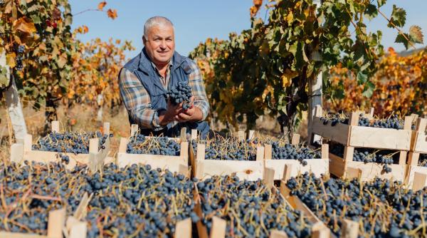 Haos în agricultura europeană din cauza schimbărilor climatice