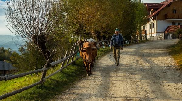 Analiză: Turismul rural din România ca potențial motor de creștere economică