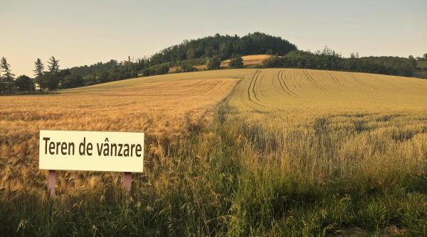 Vânzarea terenurilor agricole, vizată o modificare legislativă