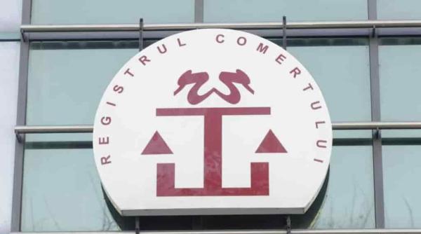 Șefa Registrului Comerțului, demisă după săptămâni în șir de probleme la portalul instituției