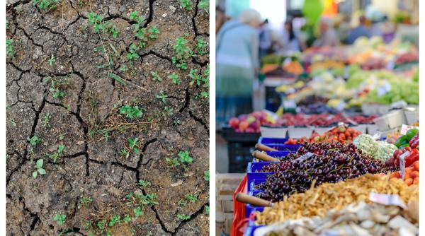 Agricultorii afectaţi de secetă vor putea cere suspendarea plăţii ratelor bancare până la sfârşitul anului 2025 (Proiect)