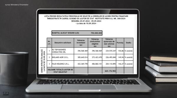 De ce vrea statul să ajute cu 234,5 milioane lei o firmă cu un singur angajat