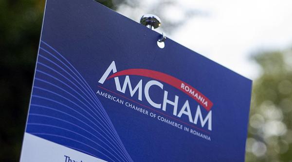 AmCham România propune direcții strategice esențiale pentru dezvoltarea sustenabilă a României în perioada 2024-2028