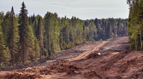 Comisia Europeană amână legea care interzice importul de mărfuri legate de defrișări