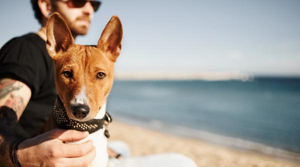 Vară în octombrie. Maxime de până la 27 de grade în Muntenia și Oltenia, dar ploile nu lipsesc