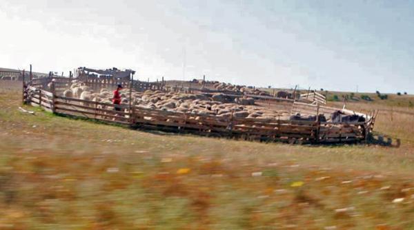 Avansul pentru plăţile directe destinate agricultorilor se va achita din 16 octombrie