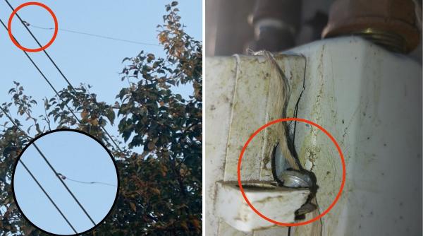 Au crescut furturile de energie. Românii sunt rugaţi "să-i toarne" pe cei pe care-i suspectează