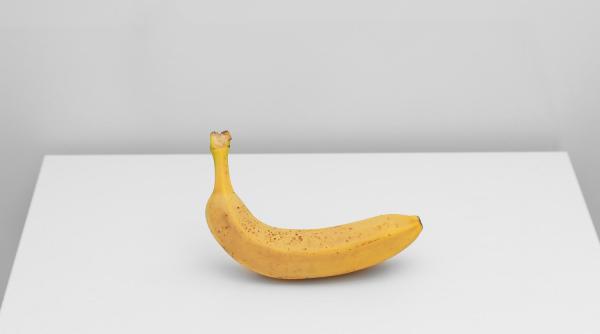Banana lipită de perete este scoasă la licitație, din nou