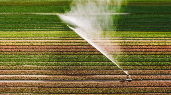 PSD alocă aproape 2,5 miliarde de euro pentru irigații și energie verde în  pentru combaterea efectelor secetei. În PNRR, guvernarea PNL-USR au aprobat ZERO finanțări pentru irigații