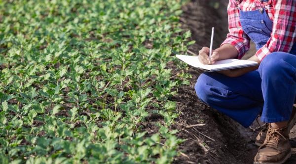 De ce sunt nemulțumiți fermierii din UE de acordul cu Mercosur?