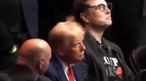 Elon Musk a folosit 250 de milioane de dolari pentru manipulare electorală și sprijinirea lui Trump în alegeri