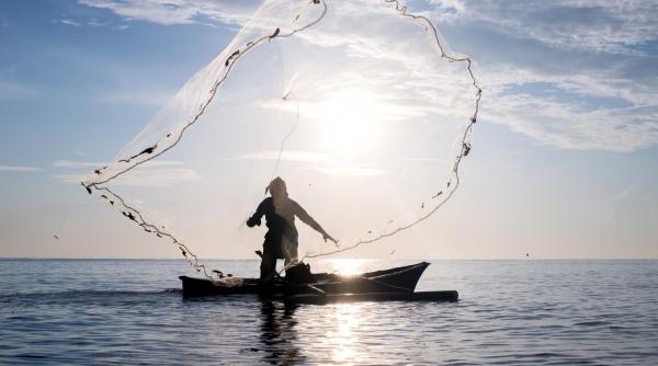 Litoralul românesc: noi oportunități economice prin cultivarea resurselor marine