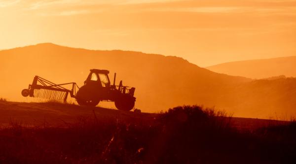 Revoluție în agricultură: contractele de arendă, garantate pentru 7 ani!