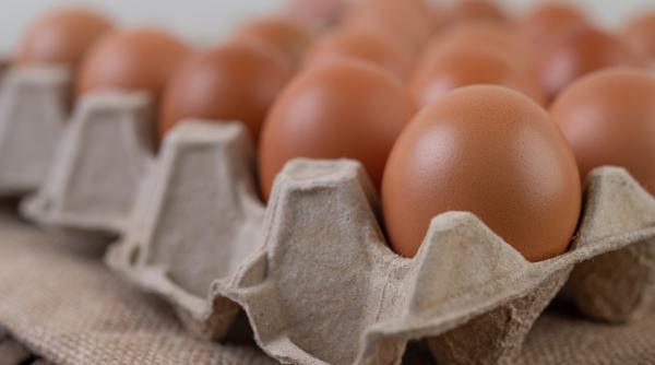 Preț record la ouă în SUA în prag de Sărbători. Care este cauza 