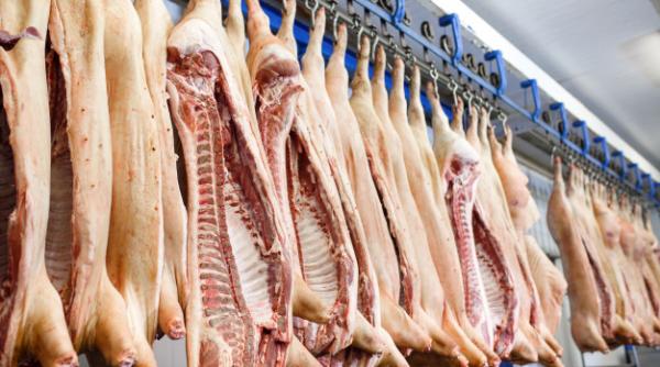 Carnea de porc s-ar putea ieftini puternic, iar totul depinde de Germania