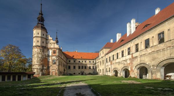 O țară europeană i-a propus lui Elon Musk să cumpere un castel