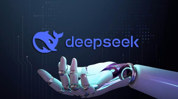 Platforma DeepSeek. Surpriză la Pentagon. Ce au descoperit IT-iștii instituției