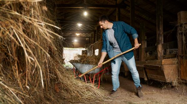 Milioane de euro pentru agricultură: Plățile au fost efectuate