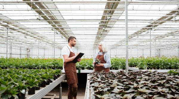 Vești bune pentru fermieri! Parlamentul schimbă regulile pentru banii europeni