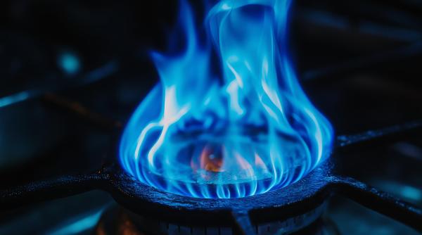 Burduja face anunțul momentului! Ce se va întâmpla cu gazele naturale după 12 martie