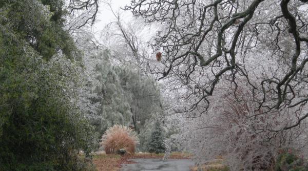 Iarna se întoarce! Vremea se răcește brusc, va fi lapoviță și ninsoare 