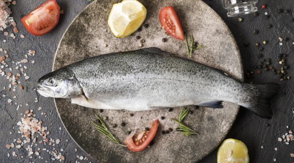 Păstrăvul de Marea Neagră, la un pas de a deveni realitate. Experimentul care va putea impulsiona acvacultura pe litoralul românesc