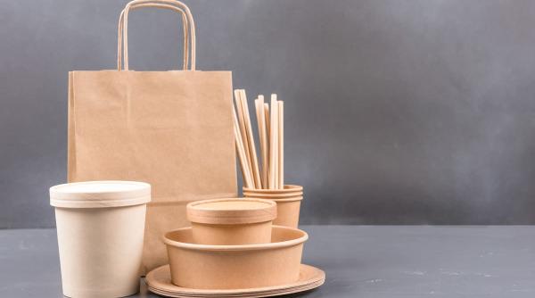 Ghid complet: Cum alegi bolurile biodegradabile pentru afacerea ta 