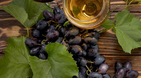 Război comercial: Exporturile de vin italian către SUA au fost blocate