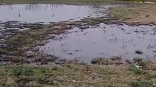 Avarie la o conductă Conpet. Poluare cu petrol într-un parc din Ploieşti