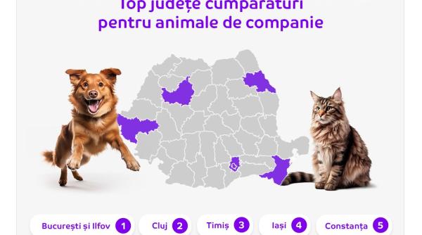 Românii au comandat aproape 1,5 milioane de articole de hrană pentru animalele de companie, în primul an de eMAG PetShop