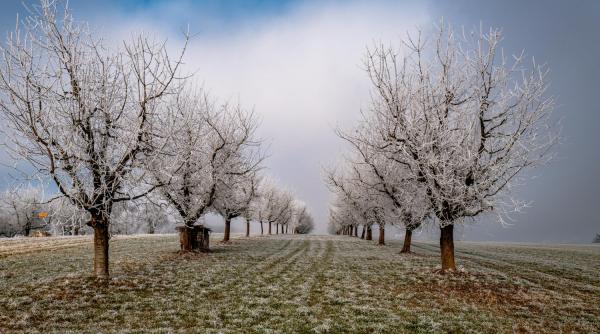 Gerul năpraznic împinge Turcia într-o criză agricolă