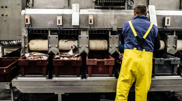 Motoarele economiei, în relanti. Semnal de alarmă pentru economie