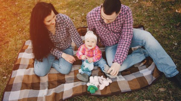 România încearcă să oprească declinul. Sprijin financiar masiv pentru fertilizare!