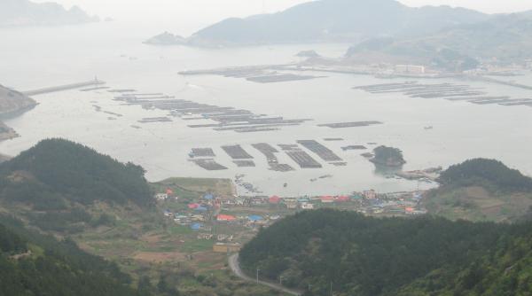 „Fermele galbene” ale Chinei, noua armă pentru cucerirea Pacificului