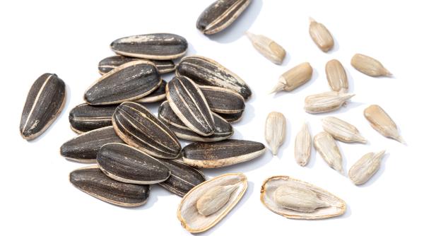 Un club de fotbal interzice seminţele pe stadion, din cauza costurilor legate de curăţenie