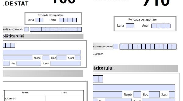 ANAF, modificări privind formularele 100 - Declarație privind obligațiile de plată la bugetul de stat și 710 - Declaraţie rectificativă