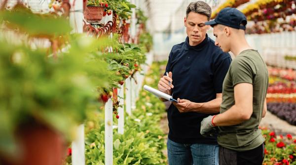 UE le dă o gură de oxigen fermierilor: mai puține hârtii, mai mulți bani!