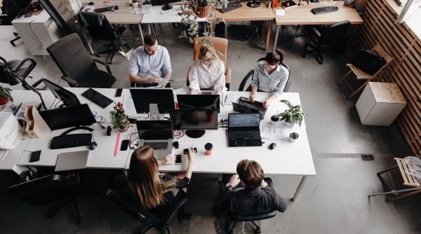 Inteligenţa artificială sprijină angajaţii să devină mai productivi