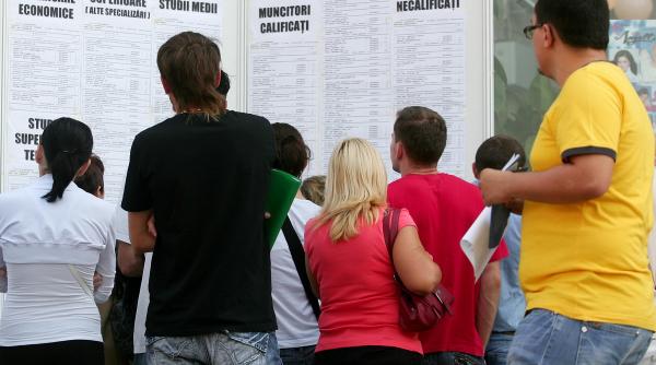 INS: peste 500.000 de români fără loc de muncă în primul trimestru din 2025