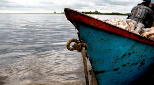 Ajutor financiar pentru pescarii, acvacultorii şi procesatorii afectaţi de războiul din Ucraina