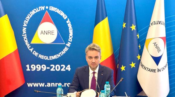George Niculescu (ANRE): Furnizorii care nu pot livra corect energie, să iasă de pe piață