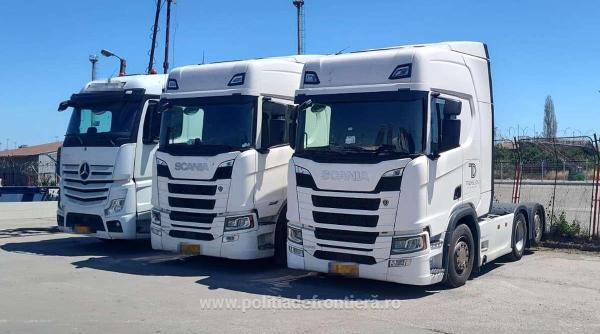 Autocamioane căutate de Danemarca, descoperite în Portul Constanța 