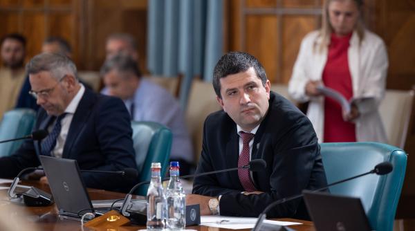 Ministrul Economiei vrea să schimbe modul în care sunt stabiliţi managerii companiilor de stat: Nu are nicio legătură cu normalitatea