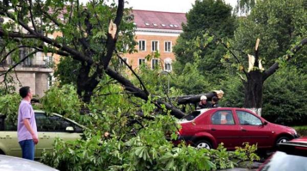 Vijelii în România: 78% din pagubele înregistrate au vizat locuințele