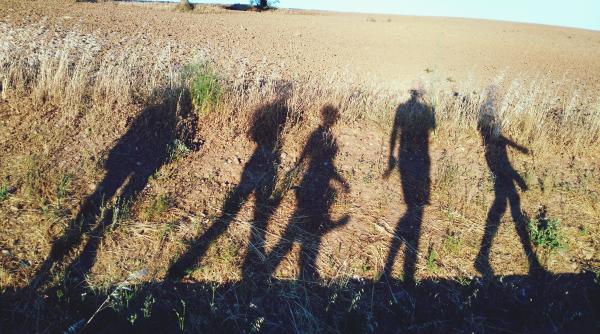 Elena Mateescu: Anul agricol 2024–2025, printre cei mai secetoși din ultimul secol