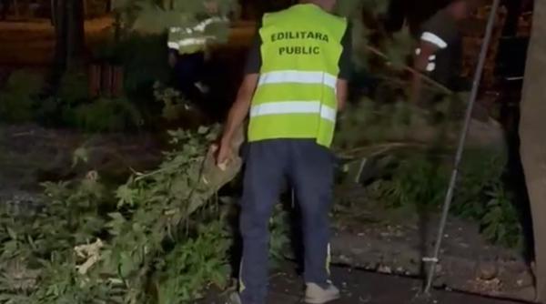 Furtuni puternice în 8 județe: intervenții IGSU, pagube și persoane rănite