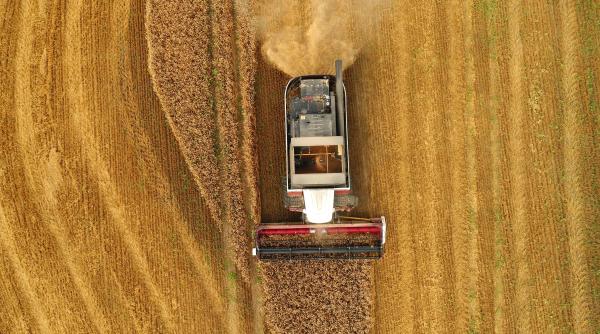România sparge recordurile la grâu, dar fermierii rămân cu buzunarele goale!