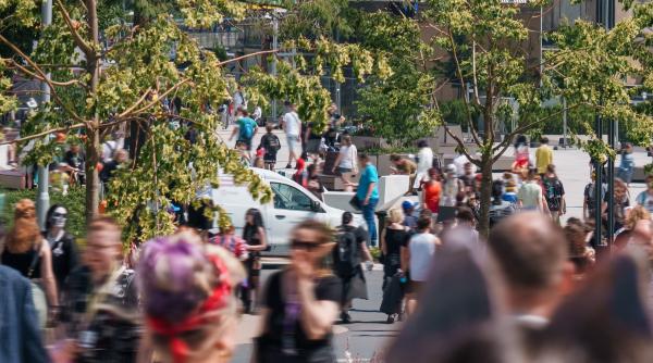 Date alarmante de la INS: prețurile cresc în ritm galopant