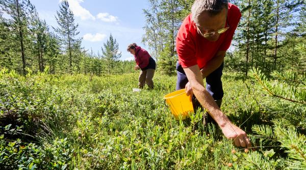 Statul dă până la 300.000 euro pentru afaceri sociale la țară